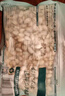 三只松鼠开心果500g/袋装 坚果炒货无漂白干果休闲零食品送礼 实拍图