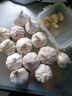 紫白皮蒜水果大蒜超市即食生鲜蔬菜大蒜 【尝鲜】3头 50g 单果3.5-5cm 实拍图