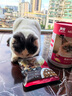 最宠（Paddy Time）猫零食猫条混合味500g 0胶0淀宠物成幼猫咪湿粮流质食品补水增肥 实拍图