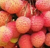 京鲜生 广东妃子笑荔枝 净重4.5斤 单果20g+ 新鲜水果 实拍图