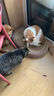 喵丽丝剑麻猫抓板猫窝一体耐磨不掉屑猫咪玩具猫爪板耐抓四季通用抓盆 【冲量款】椭圆剑麻布贈猫薄荷 实拍图