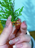 老凤祥【七夕情人节礼物】足金莫比乌斯情侣对戒生日礼物送女友送老婆 足金莫比乌斯环女戒(金重约1.6g)+品牌礼盒 活口(可调节) 实拍图