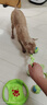 HELLOJOY狗狗玩具 耐咬磨牙棉绳球套装宠物幼犬小狗玩具自己玩解闷9件套 实拍图