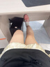 顶峰保罗（Dingfengbaoluo）冰丝休闲裤男春秋季透气孔薄款长裤速干运动宽松大码2323浅灰2XL 实拍图