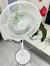 美的（Midea）【幸运草安睡风扇1S】家用轻音立式声控电风扇柔风遥控落地扇台式桌面小型大风量一级能效净化空气 实拍图
