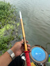 达亿瓦（DAIWA）一击 轻量鲤鱼鲫鱼草鱼罗非 进口鱼竿手杆 轻硬挺 休闲台钓 一击T 72.K（大物） 实拍图