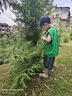 LOPOM 儿童相机玩具数码拍照录像彩色拍立得相机ccd男女孩玩具生日礼物 实拍图