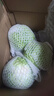 京鲜生山东新鲜包菜 净重5斤 卷心菜 甘蓝 新鲜蔬菜 源头直发 实拍图