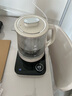小熊（Bear）纯钛养生壶全钛煮茶壶 烧水壶 家用恒温水壶煮茶器 加大滤网 1.8升大容量 YSH-E18K1【国家补贴】 实拍图