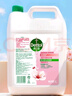 滴露（Dettol）洗手液补充装大桶消毒滋润5L 儿童家庭装杀菌护手 实拍图