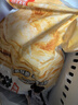 粮全其美手抓饼原味100g*20片装健康早餐卷饼 培根香肠火腿烤肠伴侣零食 实拍图