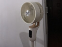 西屋【风扇踏青放价】空气循环扇家用电风扇轻音低噪节能自动摇头立式智能遥控定时落地扇对流涡轮扇 米白色+【12挡风+香薰+负离子+语音+装饰灯】 实拍图