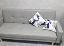 芝迈2024新款沙发客厅折叠两用沙发床出租房小户型防猫爪 【猫抓皮+实木沙发腿】浅灰色 三人位 1.7m +抱枕 实拍图