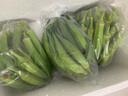 新鲜水果秋葵蔬菜新鲜现摘现发当季蔬菜生鲜凉拌好物减肥瘦身 现摘水果秋葵 3斤 实拍图