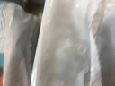 HONEYCARE好命家 狗狗纸尿裤公狗尿不湿尿片安全裤 M适用体重6-10kg/12片装 实拍图