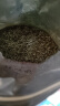 陈一凡 茶叶高山云雾绿茶 明前2025年新茶一级春茶浓香型耐泡散装500g 实拍图