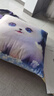 九洲鹿抱枕办公室午睡沙发床头卡通靠垫可爱卡通小仓鼠45*45cm 实拍图