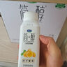 君乐宝（JUNLEBAO）益浓常温酸奶风味发酵乳 0添加蔗糖 200g*24家庭量贩整箱装 实拍图