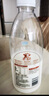 君乐宝4.0g蛋白娟姗 鲜牛奶950ml*2 巴氏杀菌乳 低温奶 鲜奶 实拍图