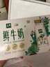 伊利金典鲜牛奶 全脂分享装巴氏杀菌 低温牛奶 235ml*4 实拍图