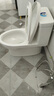 科勒（KOHLER）马桶喷枪水龙头厨卫清洁喷头冲洗器浴室增压花洒喷头biubiu冲 一进两出双控角阀搭配银色喷枪 实拍图