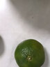 京鲜生 云南青皮蜜桔4.5斤装  果径60mm+ 新鲜酸橘桔水果 源头直发包邮 实拍图