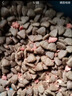 麦富迪猫粮 超肉粒冻干双拼成猫粮美毛护肠胃 三文鱼10kg/20斤 实拍图