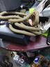 华元宠具（hoopet）狗狗绳子防爆冲P绳狗链子牵引绳胸背带大型小中型犬防挣脱溜遛狗 实拍图