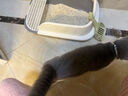 汪野君猫砂盆顶入半封闭猫厕防外溅幼猫成猫猫屎盆猫沙盆带猫砂铲中号 实拍图