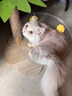 憨憨乐园猫抓板猫窝一体耐磨不屑猫爪窝立式双层瓦楞纸猫窝四季通用窝沙发 实拍图