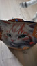 狼孩儿猫粮5斤装全价冻干粮鸡肉鱼肉成猫幼猫英短蓝猫全阶段猫干粮2.5kg 实拍图