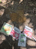 网易严选全价猫粮 宠物主粮幼猫成猫全价粮猫咪食品 深海鱼虾口味50g*2 实拍图