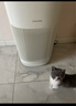 东芝（TOSHIBA）大白梨Pro空气净化器加湿器净化加湿一体机等离子消杀病毒除甲醛过敏源【国家补贴】 实拍图