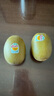 佳沛（zespri）新西兰 阳光金奇异果12粒礼盒特大果单果约122-146g 猕猴桃 水果 实拍图