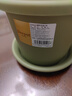 爱丽思（IRIS）花盆托彩色Deepot圆型盆栽花盆托加厚接水盘树脂塑料托盘花盆托 6号浅绿色【搭配5号花盆】 实拍图