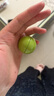 布鲁奇磁力棒儿童玩具男孩3-6岁磁力积木益智玩具男孩磁力片玩具1-3岁 实拍图