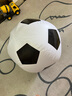 TaTanice充气大足球户外草坪沙滩玩具儿童足球巨型皮球幼儿园专用礼物 【加厚】60CM大足球+电动充气泵 实拍图