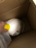 滴露（Dettol）衣物消毒液 柠檬3L 99.9%杀菌除螨内衣儿童衣物除菌液可配洗衣液 实拍图