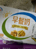 伊利早餐奶核桃味牛奶250ml*24盒/箱  优选核桃 早餐伴侣 礼盒装 实拍图