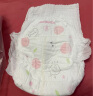 碧芭宝贝盛夏光年拉拉裤XXXL26片(18kg以上)裤型加大尿不湿 超薄超柔 透气 实拍图