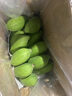 广西网红小米蕉青香蕉发货密封放熟吃新鲜水果皮薄肉厚 净重5斤青蕉发货 实拍图