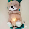 费雪（Fisher-Price）婴儿玩具安抚玩偶哄睡生日礼物-音乐安抚酣睡小水獭GHL41 实拍图