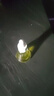 隆力奇多效蛇油舒润精华油水油同补淡化皱纹紧致保湿舒缓肌肤男女士12ml 经典款3瓶（水油4:6  淡化皱纹） 实拍图