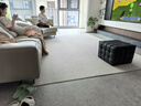 东升100%新西兰羊毛无胶水无甲醛抗菌防螨客厅卧室环保地毯可定制尺寸 观云 2.4*3.4米 实拍图