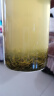 乐品乐茶明前特级碧螺春绿茶茶叶2025新茶春茶嫩芽自己喝浓香型250g送礼袋 实拍图