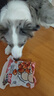 HELLOJOY狗狗零食宠物泰迪金毛幼犬成犬训练奖励 营养牛肉粒2.7斤 实拍图