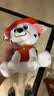 汪汪队立大功（PAW PATROL）汪汪队玩具毛绒全套狗狗玩偶公仔男女孩玩具旺旺队儿童生日礼物 经典款-毛毛公仔【需选尺寸】 中号-坐或站高约17~22.9CM 实拍图