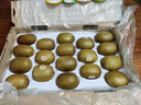 佳沛（zespri）新西兰  阳光金奇异果18粒超大果原箱单果重约173-204g 猕猴桃 实拍图