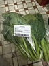 小芥兰300g 实拍图