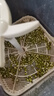 摩动豆芽机全自动家用多功能发黄绿豆芽神器水循坏洒水微电脑智能定时发豆芽机器MD-DY01 实拍图